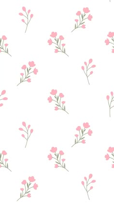 pink flowers and leaves on a white background