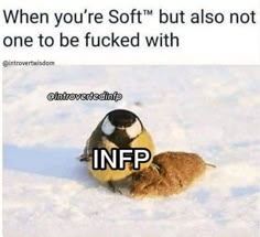 Infp Funny Humor