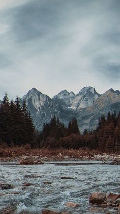 there is a mountain range in the distance with trees and rocks on the ground near it