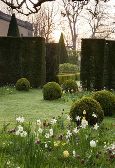 the garden is full of flowers and bushes