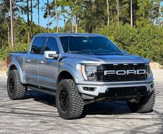 a silver truck is parked in a parking lot with trees and bushes behind it on a sunny day