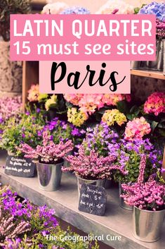 the words latin quarter 15 must see sites paris in pink and blue with purple flowers