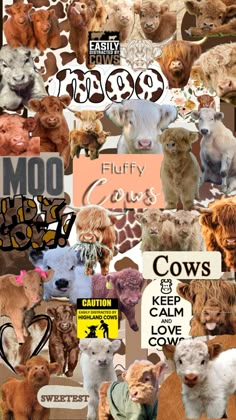 the collage shows many different types of animals and their names in each one's own language