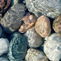 some rocks and pebbles are laying on the ground