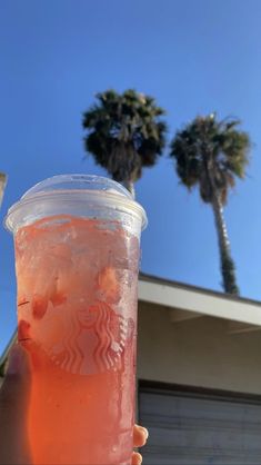 a person holding up a drink in front of palm trees