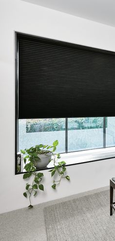 a living room with a large window covered in black cellular shades and a potted plant