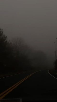 an empty road in the fog with trees on both sides and telephone poles to the side