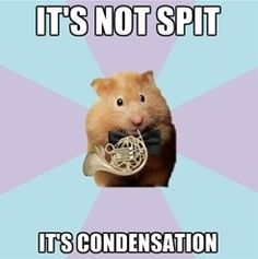 a hamster holding a french horn in its mouth and captioned it's not spit it's condensation