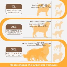 an info sheet shows the size and weight of dogs