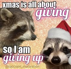 a raccoon wearing a santa hat next to another raccoon with a christmas message