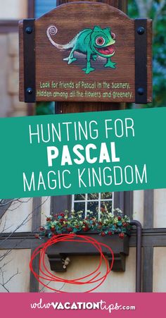 a sign that says hunting for pascal magic kingdom