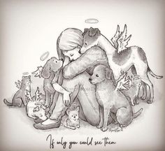 a drawing of a woman hugging her dogs and cats with the caption if only you could see them