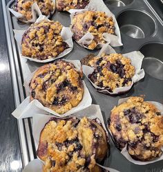 blueberry muffins are lined up on a baking tray