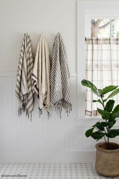 three towels hanging on the wall next to a potted plant