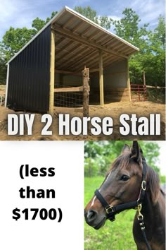 a horse is standing in front of a shed with the words diy 2 horse stall below it