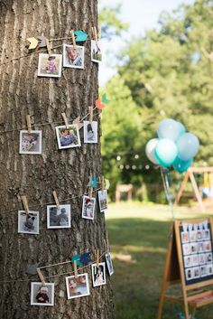 a tree with pictures pinned to it and balloons