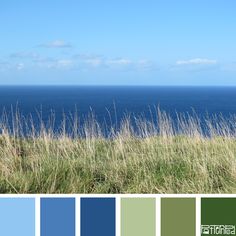 the grass is growing in front of the water and blue sky with white clouds above it