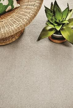 a wicker chair and potted plant on a rug