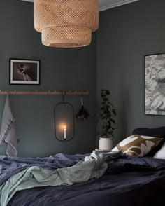 a bedroom with green walls and dark blue bedding, hanging lights above the bed