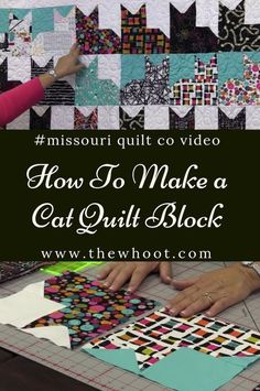 someone is making a cat quilt with the words mississippi quilt co video how to make a cat quilt block