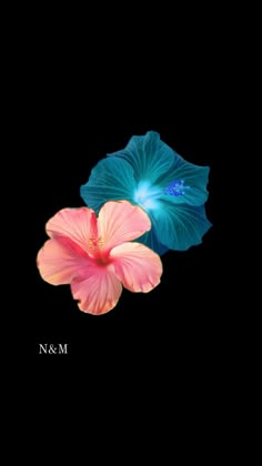 two blue and pink flowers on a black background with the words n & m below it