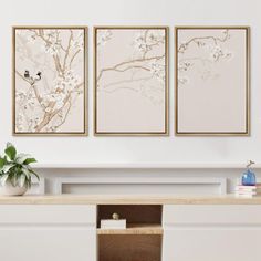 three paintings on the wall above a desk with a vase and potted plant next to it