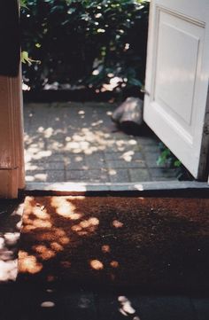 an open door leading to a patio with a tortoise shell on the ground