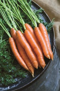 some carrots are laying on top of each other in a black bowl with green stems