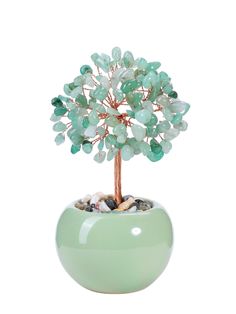 a small green potted plant with white stones and a tree in the center, on a white background