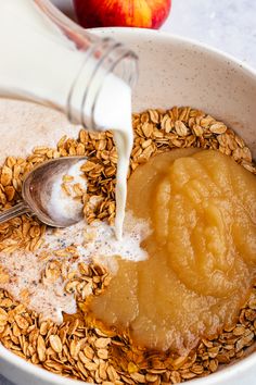 a bowl filled with oatmeal and an apple