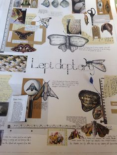 a collage of pictures with words written on them and images of moths, butterflies, and other things