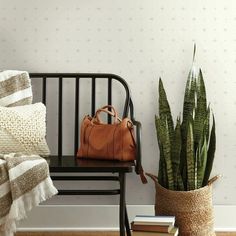 a black bench sitting next to a potted plant