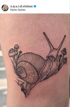 Silly tattoo - Snail tattoo woth cute mushrooms Snail Artwork, Cute Mushrooms, Nature Tattoos, Sydney, Stuffed Mushrooms, Instagram Profile, Tattoos, Instagram