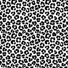 a black and white leopard print pattern