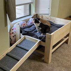 Lifted Dog Bed, Dog Bed Platform, Diy Elevated Dog Bed, Pet Bunk Bed, Dog House Design, Bunny Homes, Wooden Pet Bed, Diy Dog Beds, Wood Dog Bed