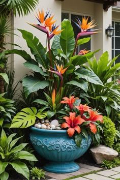 English Cottage Garden Ideas, Cottage Garden Ideas, Tropical Backyard Landscaping, Tropical Garden Design, Tropical Backyard, Potted Plants Outdoor, Large Flower Pots, Diy Flower Pots