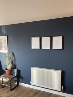 a living room with blue walls and pictures on the wall next to a radiator