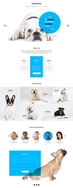 an image of a website with dogs on it