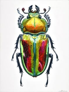 a painting of a colorful beetle on a white background