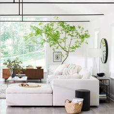 a living room filled with furniture and a tree in the middle of the room's windows