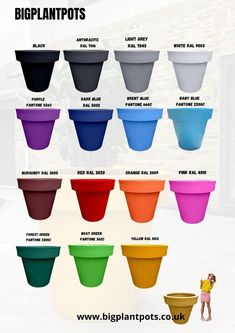 the big plant pots are all different colors