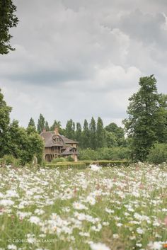 a house in the middle of a field full of wildflowers with trees in the background