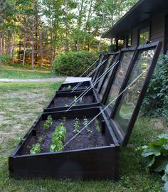 an assortment of plants growing in raised garden beds on the grass outside of a house