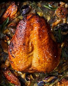 a roasted chicken in a roasting pan with mushrooms and herbs