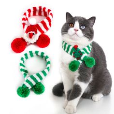 a gray and white cat sitting next to two christmas themed hair ties with pom - poms