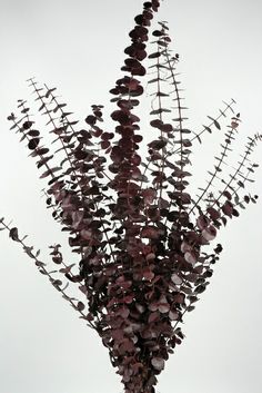 a vase filled with purple flowers on top of a table