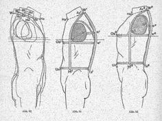 the diagram shows how to draw an arm and leg with different angles, from top to bottom