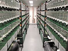 rows of green and clear glass shelves in a room