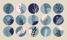 a bunch of different types of plants on a blue and pink circle with white circles