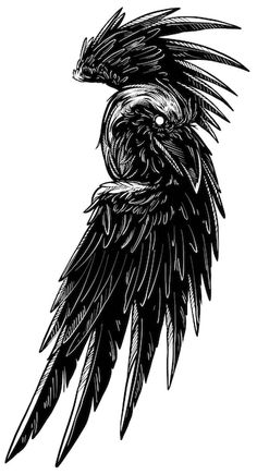 an artistic black and white drawing of a bird with feathers on it's head